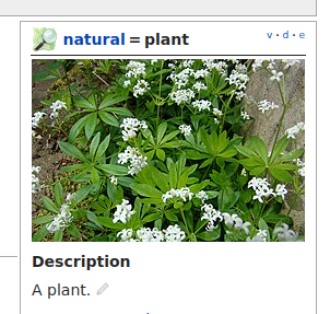 The OpenStreetMap Wiki for the key/tag natural=plant. The description reads "a plant." There is a small picture of a green plant with white flowers. Sweet woodruff, maybe?